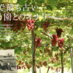 やまふじ ぶどう園